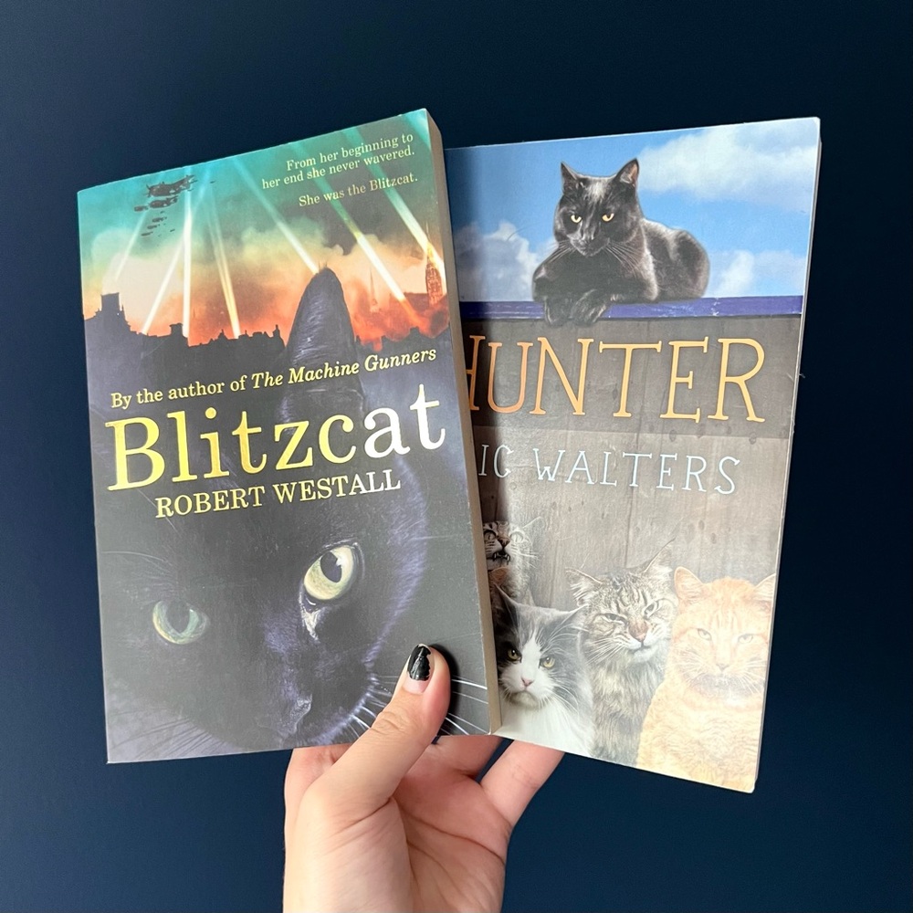 Blitzcat & hunter paperback novels